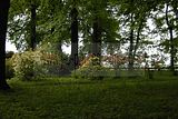 tannenfeld-sommer 2012-025